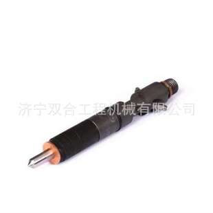 喷油嘴 喷油器10000-02456 10000-00270 1000002456 1000000270