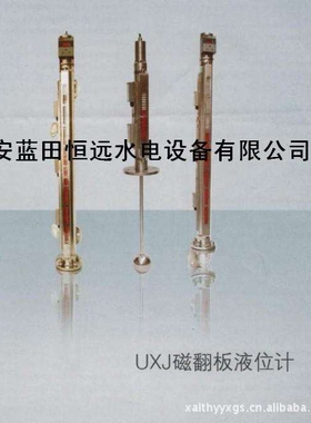 西部恒远电力BNA31-300/400-2-MN磁翻板液位信号计顶装式