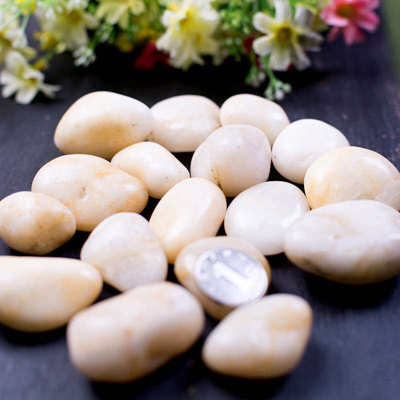 白色抛光鹅卵石头 厂家 装饰园林家装工程景观盆栽雨花石子