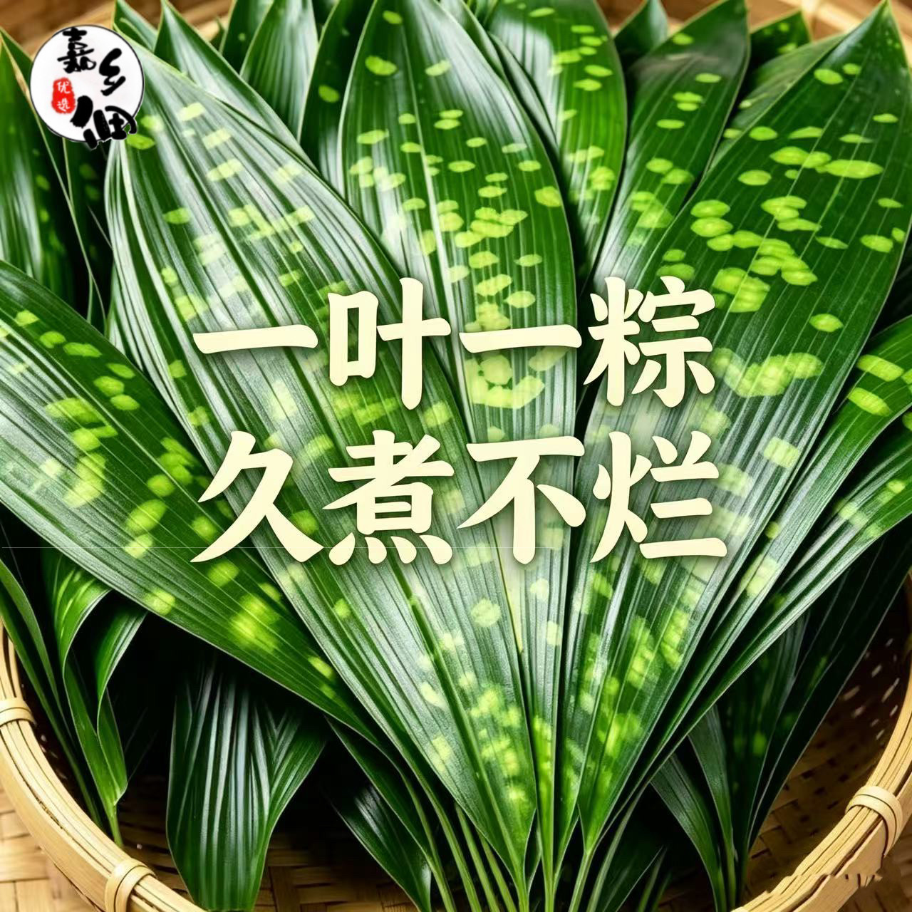 新鲜粽叶特大号花粽叶热卖特大四川峨眉山新鲜粽子叶花色随机发