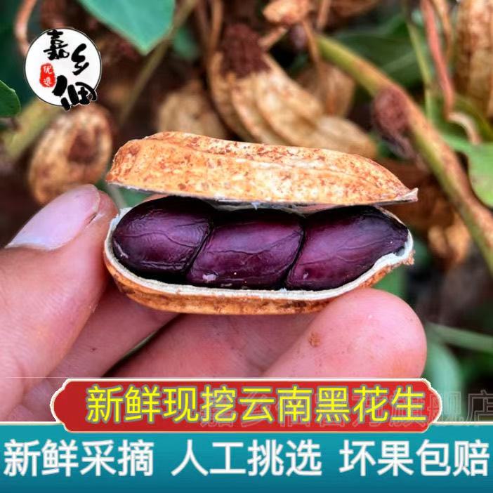 云南富硒黑花生新鲜湿花生