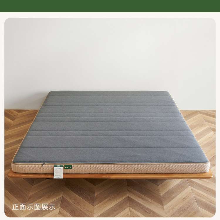 WZ0胶水可拆卸黄麻床垫儿童榻榻米硬棕榈垫子护腰脊老人定