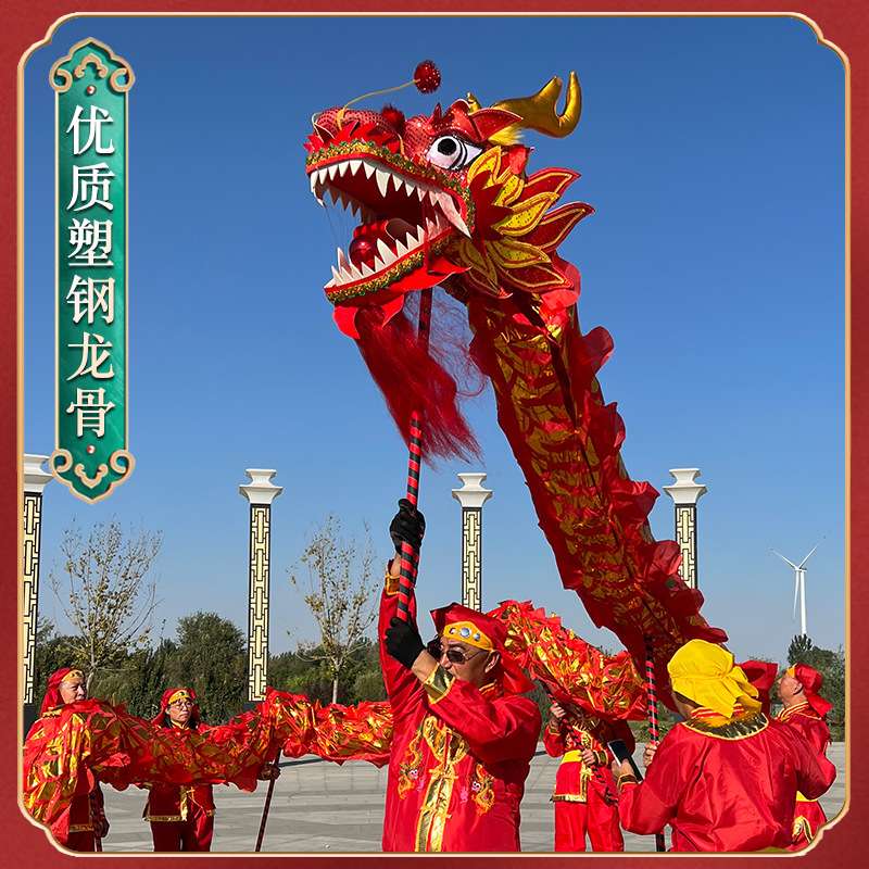 舞龙表演道具龙头舞龙广场舞新款健身龙中国龙传统舞龙团体舞龙
