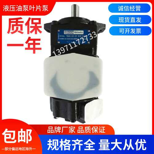 双联叶片油泵T6CC-031-017-1R02-C100高压泵T6DC注塑机液压泵配件