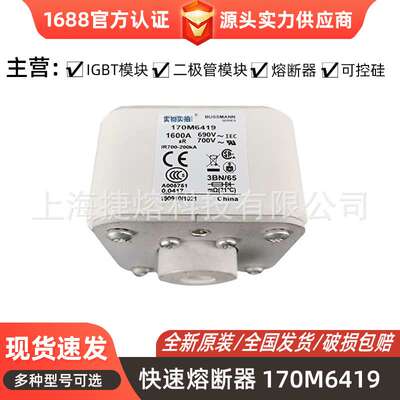 170M6419 170M6420  快速熔断器  保险丝 电子元器件 量大价优
