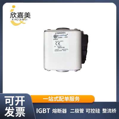 170M6501 170M6540 快速熔断器  保险丝 电子元器件 量大价优