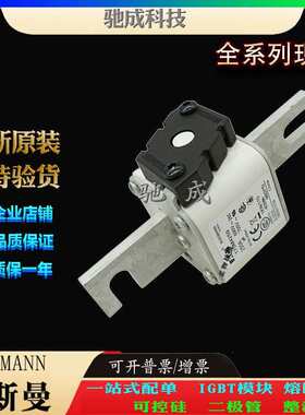 巴斯曼170M4259 170M4260 170M4261 大量现货价格优惠 快熔保险丝