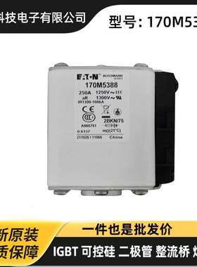 170M6910 170M6918 170M6919 170M6920进口低压熔断器 保险丝