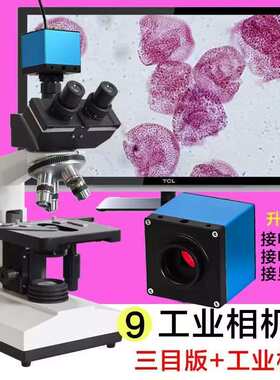 贝朗高清光学双目显微镜专业生物水产养殖藻类鱼病检测精子2500倍