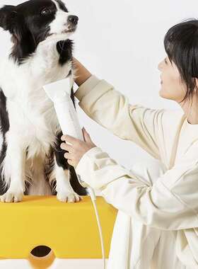 宜宝F1  neakasa宠物高速吹水机狗狗洗澡神器吹风机猫咪吹干烘干