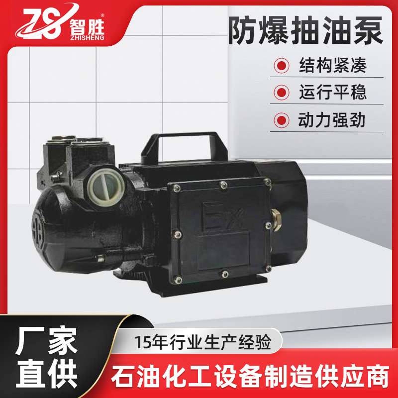不锈钢手提式便携电动直流防爆抽油泵220V750W工业汽油柴油抽油泵