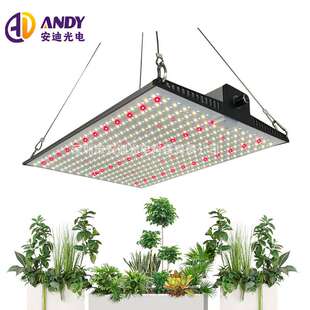 200W量子板植物灯lm301h EVO跨境电商款面板植物补光灯大棚生长灯