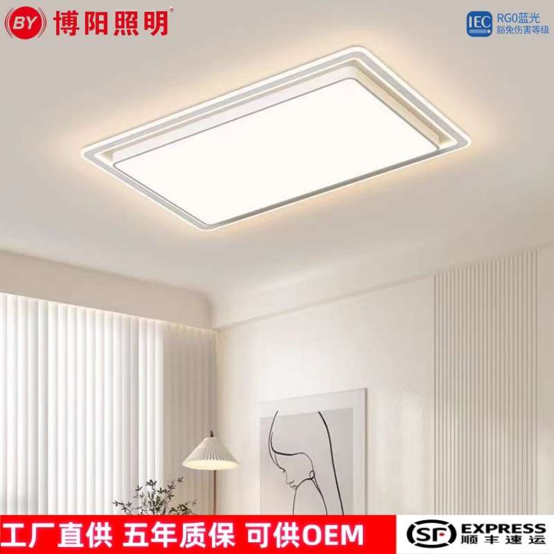 LED平板吸顶灯简约风灯具时尚百搭客厅灯市场低价直供LED吸顶灯