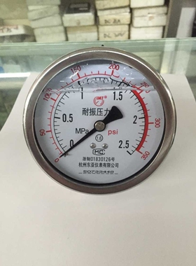 YN100Z 耐震压力表轴向 2.5MPA PSI350  表盘100MM 螺纹固定支架