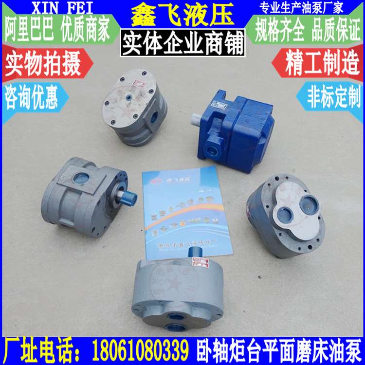 M7130/M7130G/300毫米卧轴炬台平面磨床齿轮油泵杭州机床厂 桂北