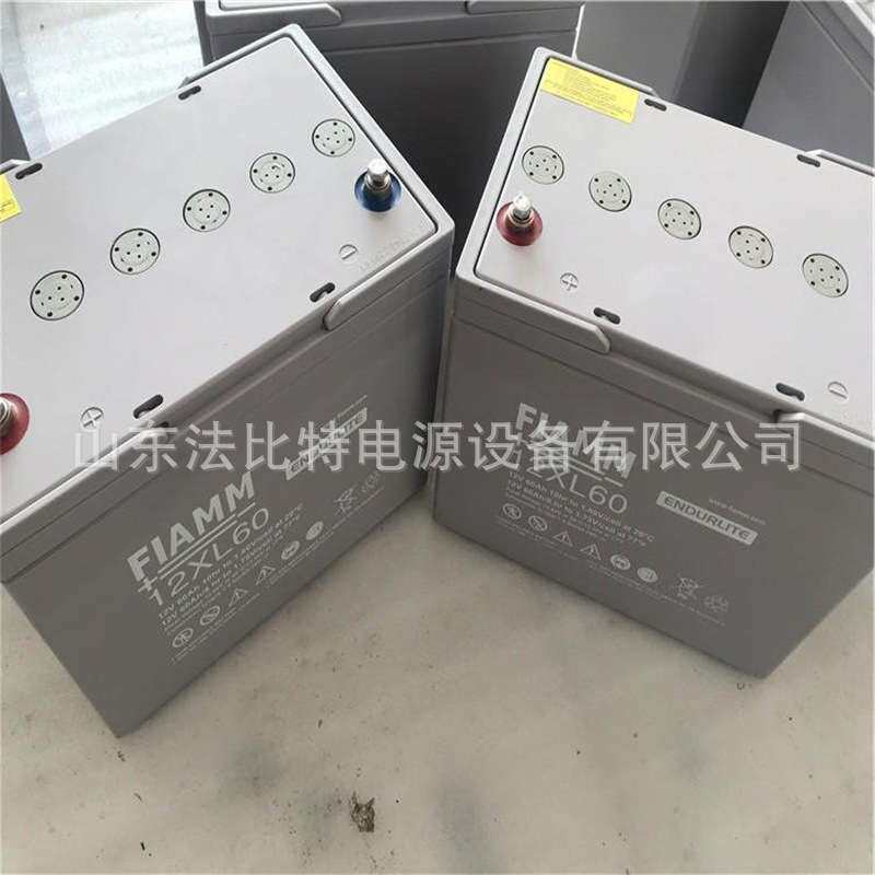 非凡铅酸蓄电池12XL60免维护蓄电池12V60Ah轨道交通12XL60