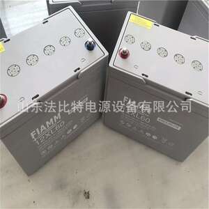 非凡铅酸蓄电池12XL60免维护蓄电池12V60Ah轨道交通12XL60