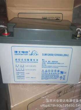 LEOCH理士电池DJM1265S理士铅酸蓄电池12V65AH楼宇应急逃生照明