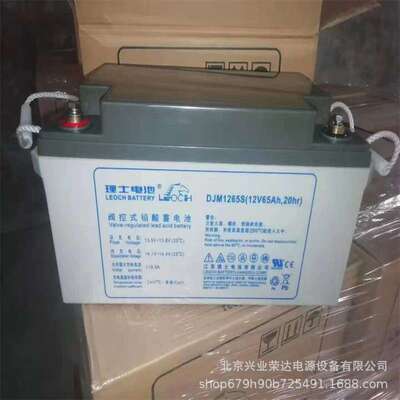 LEOCH理士电池DJM1265S理士铅酸蓄电池12V65AH楼宇应急逃生照明