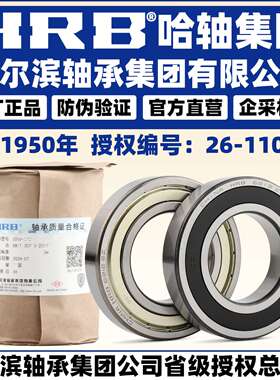 HRB 哈尔滨轴承 6216 6217 6218 6219 6220 -ZZ 2RZ
