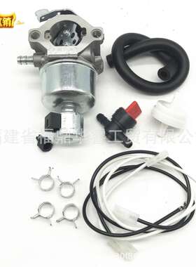 化油器套装791889 698782, 693194, 499151化油器带配件