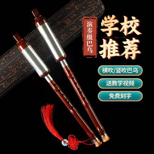 巴乌乐器竖吹横吹树脂仿C调降B调G调F调小学生用成人七孔巴乌