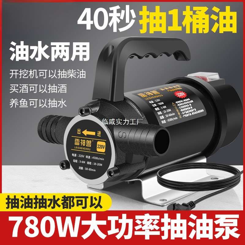 油水两用抽油泵电动抽水泵12V24V220V伏直流高压抽水泵加油机