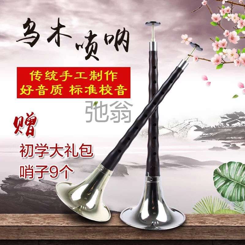 有专业乌木唢呐调调降调唢呐乐器成人初学唢呐全套唢呐大中小