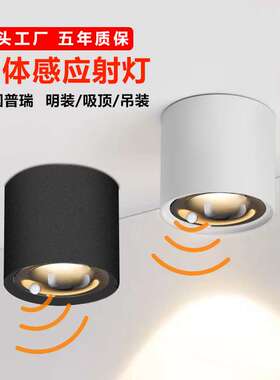 led明装人体感应射灯cob红外家用客厅天花灯楼梯吸顶感应灯