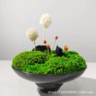 新中式禅意永生苔藓盆景摆件样板间售楼处酒店茶室桌面绿植装饰品
