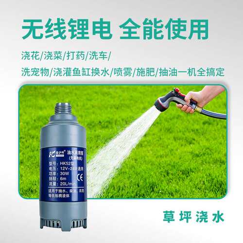 无刷潜水泵抽水泵油水两用12v21v24v电压通用迷你款高扬程