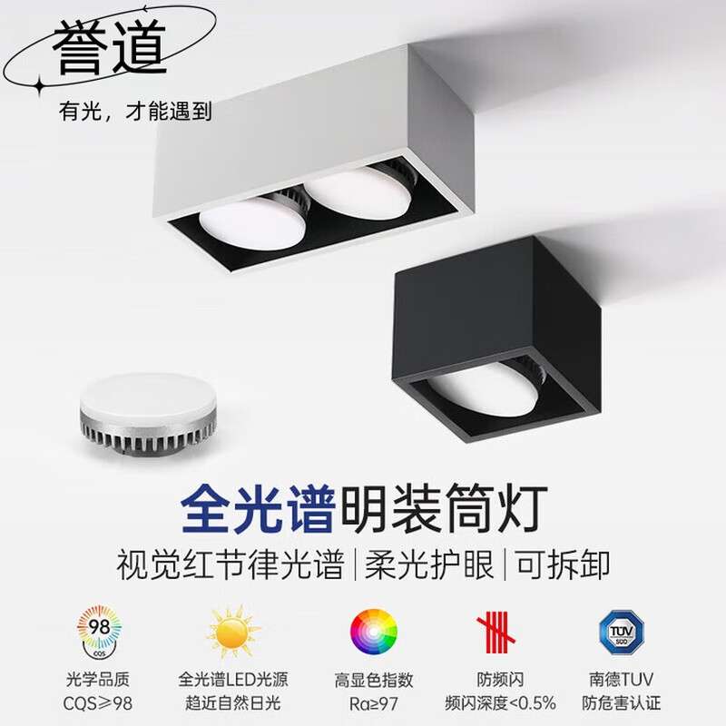 誉道双头筒灯led三色客厅明装天花灯可调光变色长方形斗胆灯格栅