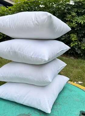 装饰枕芯羽毛抱枕芯汽车靠枕家用居家摆设靠垫65x65CM酒店枕芯