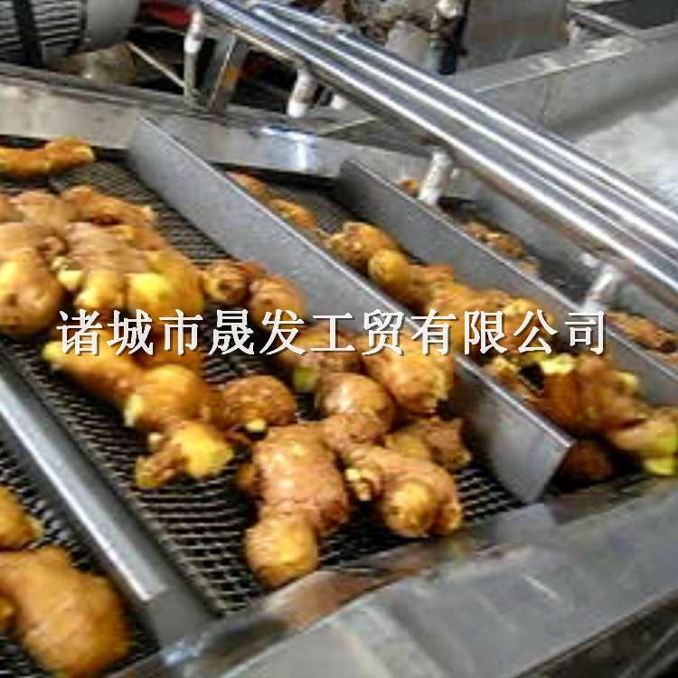 多功能生大姜清洗机 新鲜黄姜高压清洗机 莱芜大姜清洗机什么样