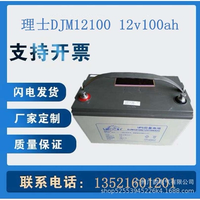 原装理士蓄电池DJM12100 LEOCH铅酸蓄电池12V100AH电力储能用
