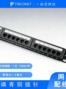 跨境出口19英寸CAT6 RJ45源头工厂12端口冷轧铁磷青铜UPT网络配线