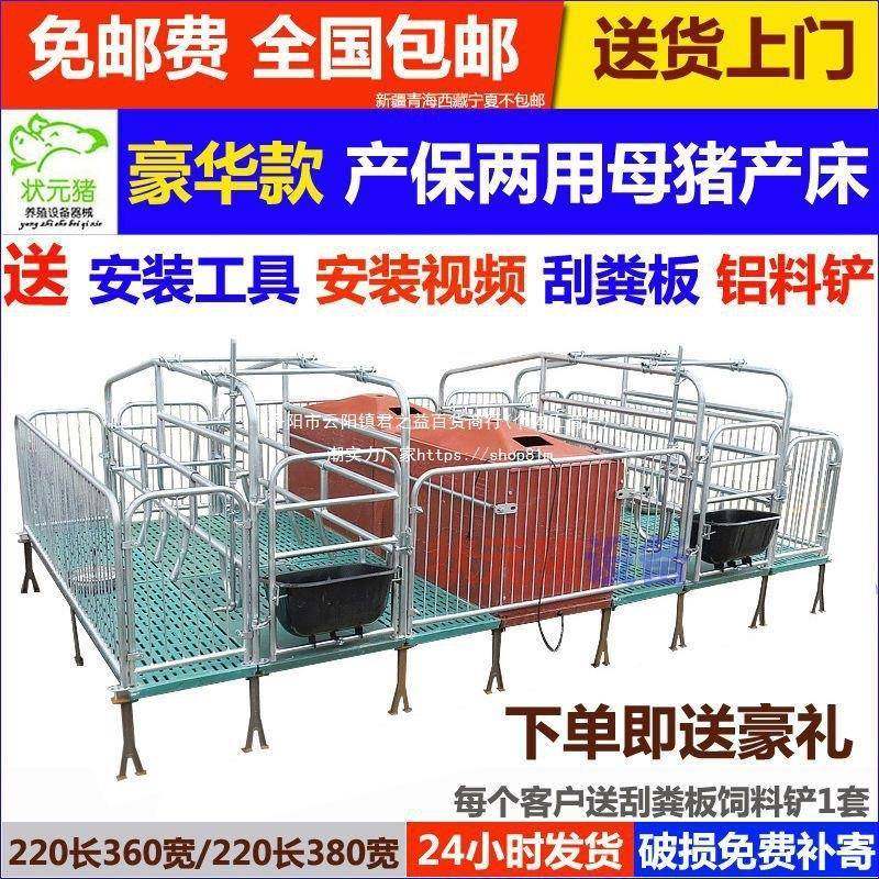 母猪产床复合板老母猪双体单体猪用产保两用国标热镀新管厂家直销