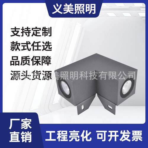 厂家直销6W9W10W16W18W户外防水LED双向直角星光灯一束光外户外