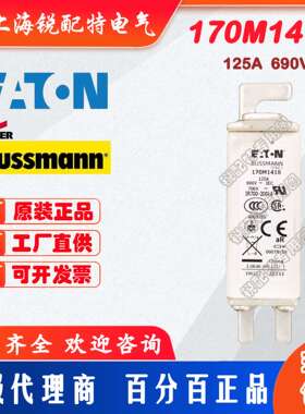 170M1418 快速熔断器 690V 125A 巴斯曼BUSSMANN快速熔断器