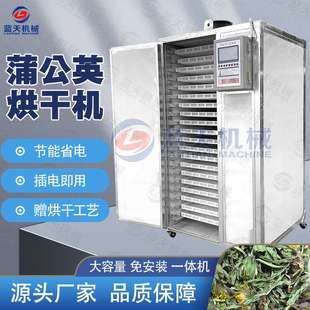 小型蒲公英烘干机 商用婆婆丁黄花地丁烘干箱 蒲公草除湿烘干设备