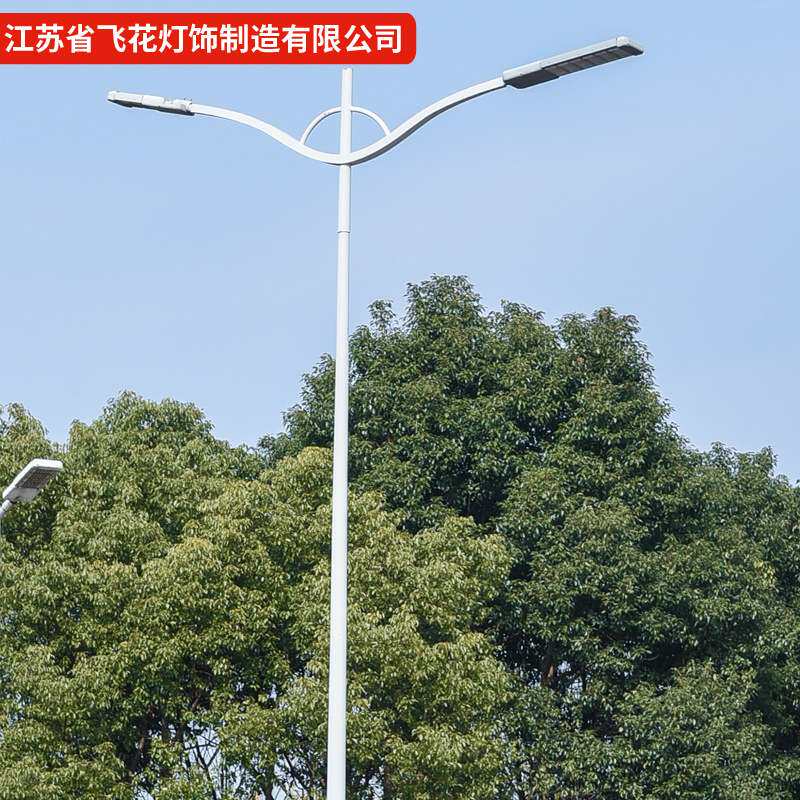 厂家供应道路照明双臂路灯杆 新农村建设户外市政工程LED高亮路灯