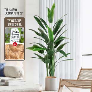 北欧风仿真绿植盆栽天堂鸟室内假植物鹤望兰客厅高端轻奢装饰摆件