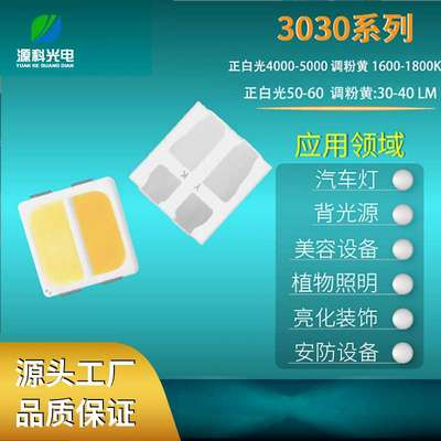 3030双色LED贴片灯珠  高亮照明灯珠生产厂家