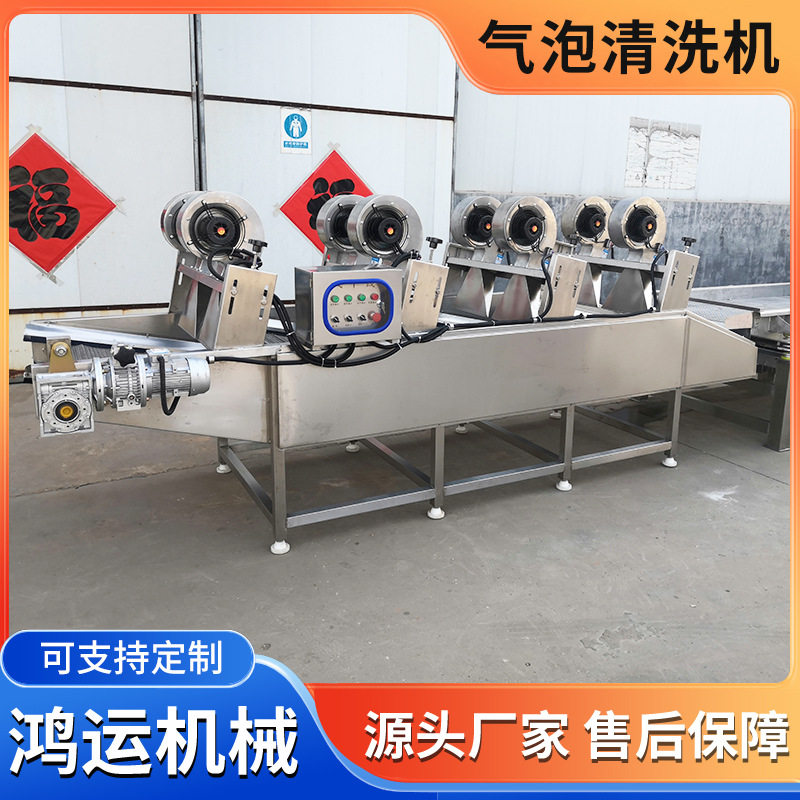 梅干菜荷兰豆气泡清洗机果蔬预加工设备气泡喷淋清洗机流水线