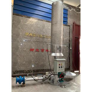 300方沼气火炬燃烧器 暗火火炬放散点火 内燃式沼气火炬点火装置