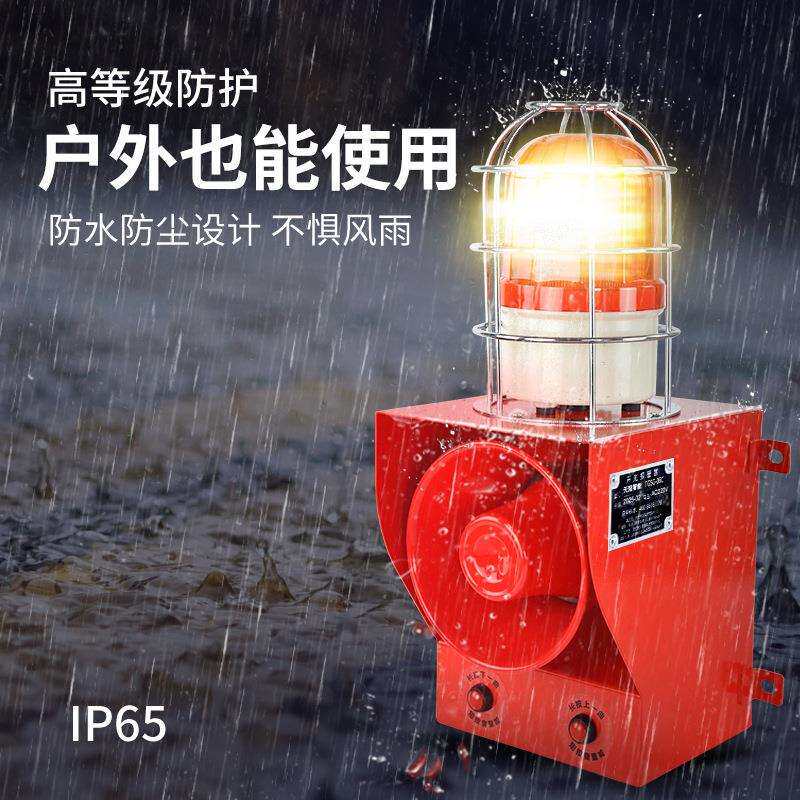 TGSG-06C工业声光报警器 语音声光报警器 130分贝防撞警报 220V