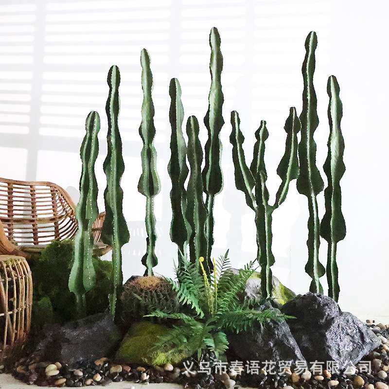 仿真假仙人掌绿植盆栽装饰花槽摆件拍照墙简约背景沙漠植物盆景