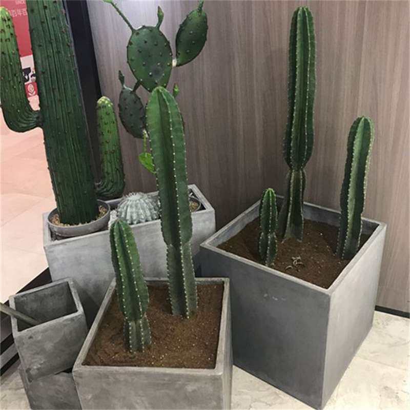 仙人柱量天尺盆栽北欧风室内大型客厅好养多肉植物无刺仙人掌绿植