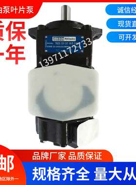 双联叶片油泵T6CC-031-017-1R02-C100高压泵T6DC注塑机液压泵配件