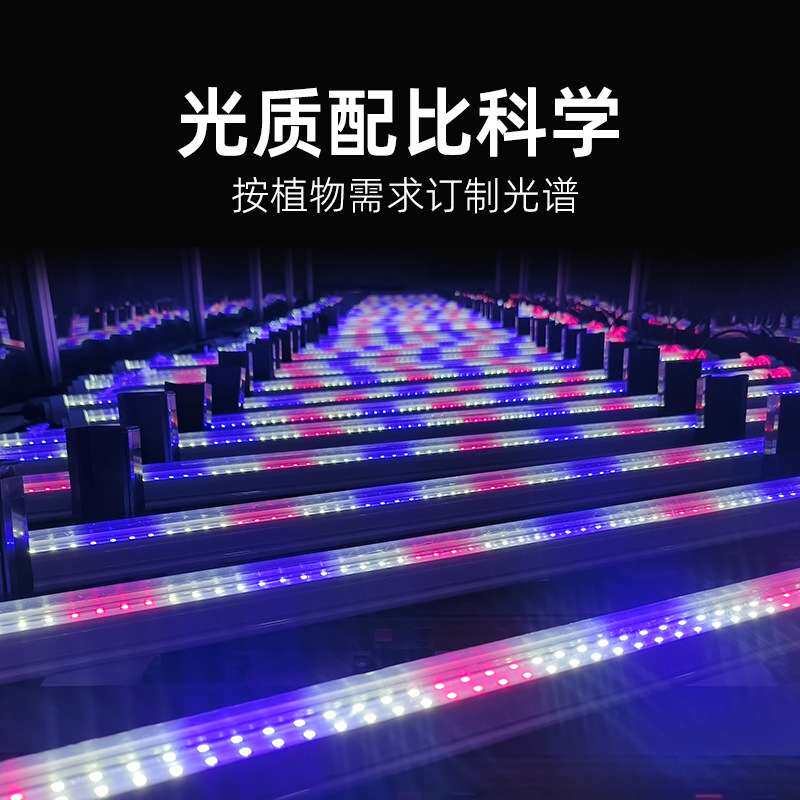 50W全光谱植物生长灯管育苗叶芽菜水培全光谱植物工厂专用补光灯